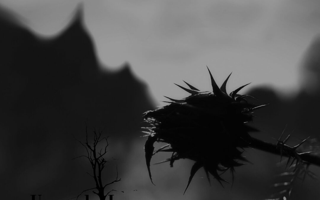 URZE DE LUME – Vozes na Neblina – 2017